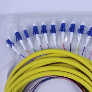 Wholesale China Fiber Optic Patch Pigtail Factory Supplier –  12cores Bundles Fiber Optic Pigtails  – HTLL